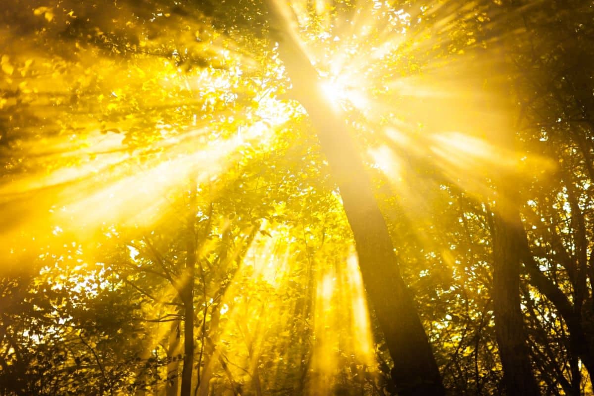 illumination