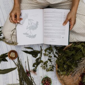 Quantum Healing with Cree Skystone
